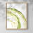 Lichen Halo VI Framed Print - Solid Wood-1614862660