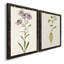 Mauve Garden Flowers III, toile encadrée de qualité supérieure - prête à être accrochée-75683463-75683466