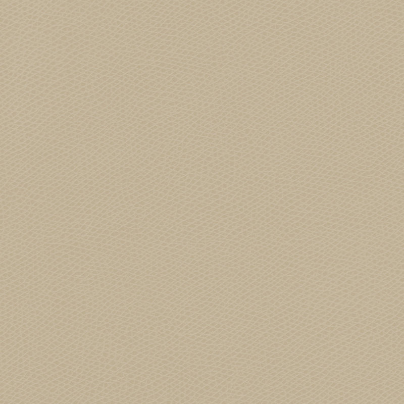 Ophidian Fabric, Oatmeal