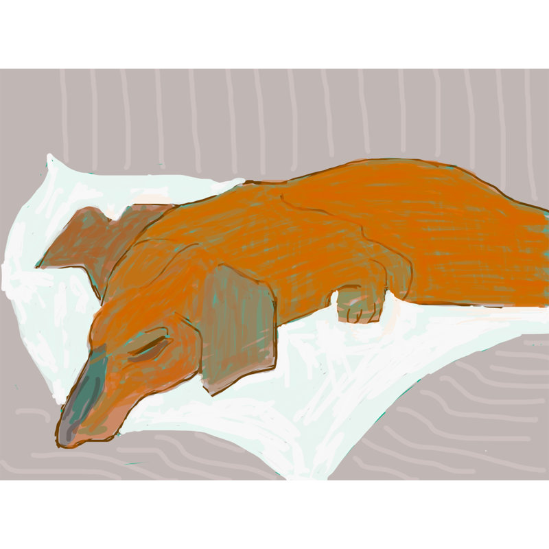 Sweet Dreams Print by Deborah Blum, Black Framed Paper, 25.25" H x 31.25" W