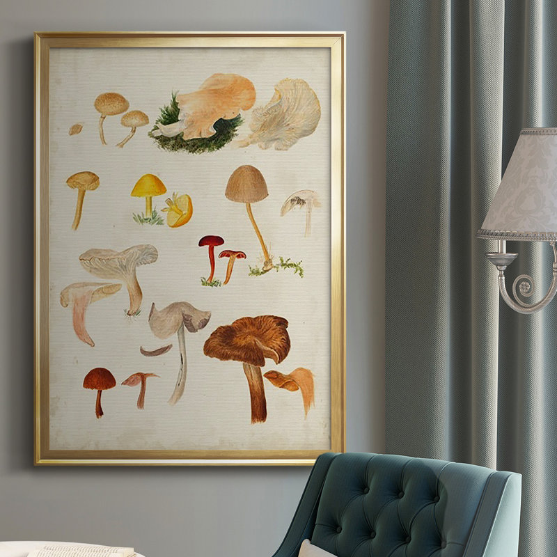 Reproduction encadrée de qualité supérieure de champignon Espresso, Encadrement doré, H 30,5 po x l 22,5 po x P 1 po