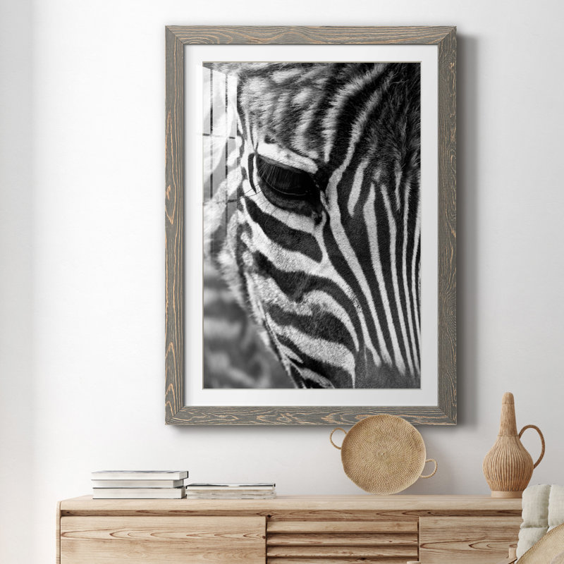 Zebra Colt - Photographie avec cadre photo, H 31,5 po x l 23,5 po x P 1,5 po, Encadré gris
