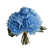 bleu sélectionné