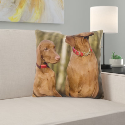Coussin pour chien
