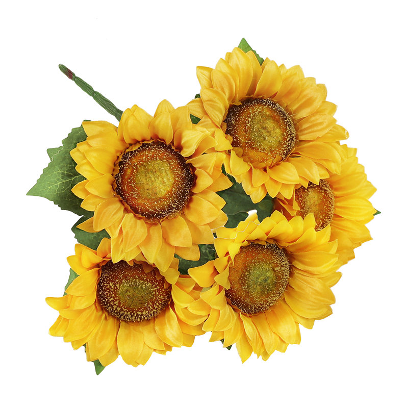 Tournesol