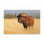 No Frame Print on Canvas-746114580