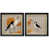 Black Gallery Frame n'est pas disponible