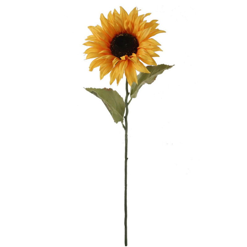 Tige de tournesol ensoleillée