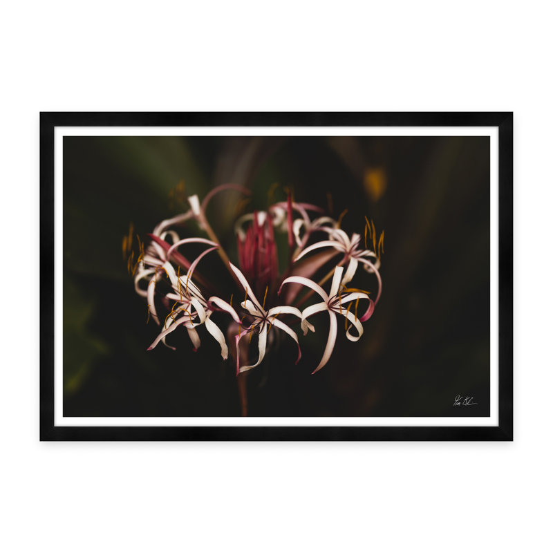 " Flora "