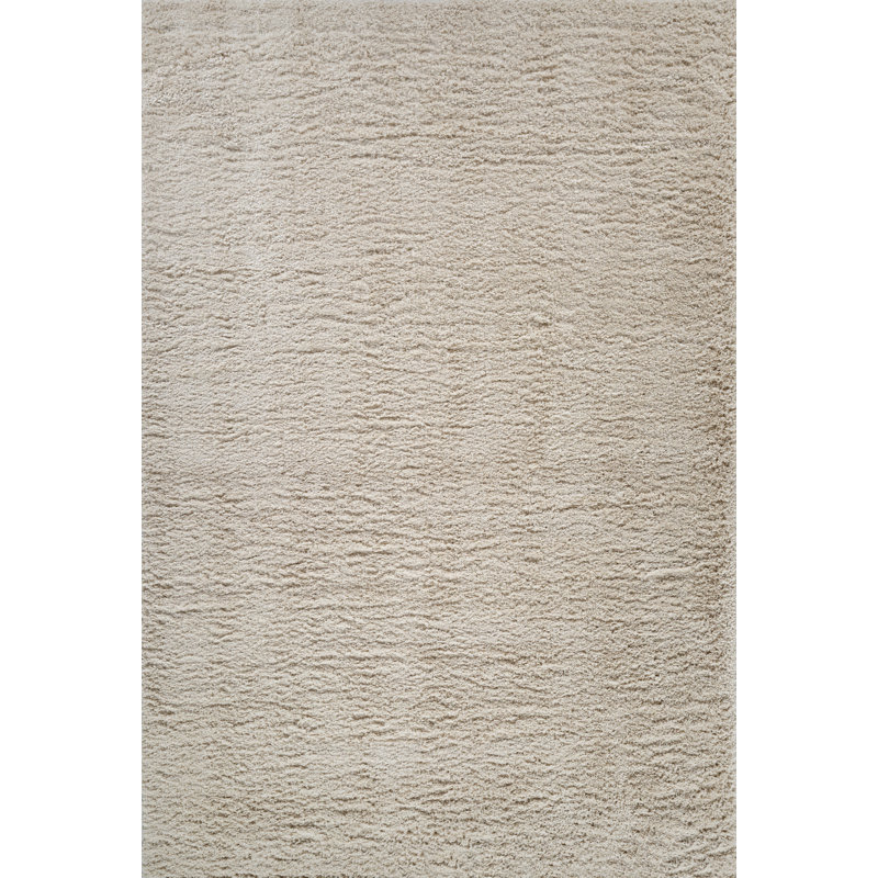 Tapis à poil long Hargo, Rectangle 6 pi 6 po x 9 pi 6 po