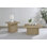 Ensemble de tables basses carrées 2 pièces Devar