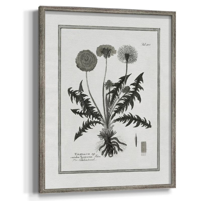 Pissenlit II, reproduction encadrée - bois massif 50201, H 11 po x l 9 po