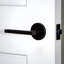 Viaggio Circolo Rosette Passage (Hall & Closet) with Milano Lever-1114704223-1114704219-1114704213