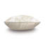 Jolene Square Pillow Cover & Insert