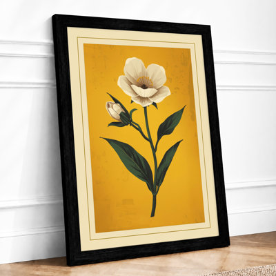 White Bloom Study Botanical - Framed Print