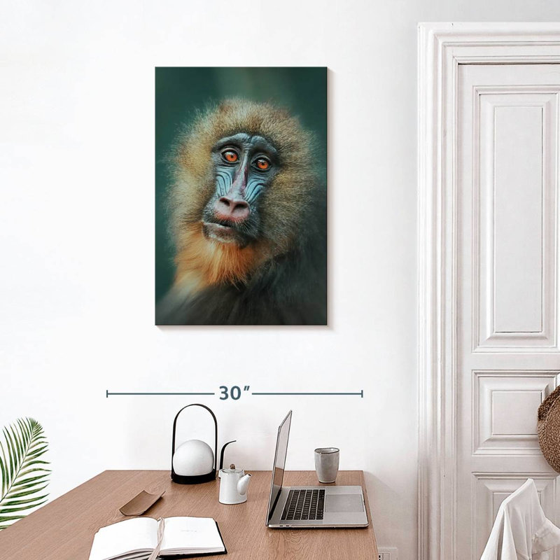 Monkey Close Up, 30" H x 20" W