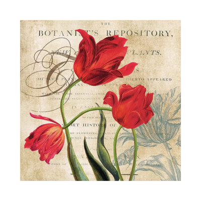 Botanist's Repository by Carol Robinson - Print on Canvas