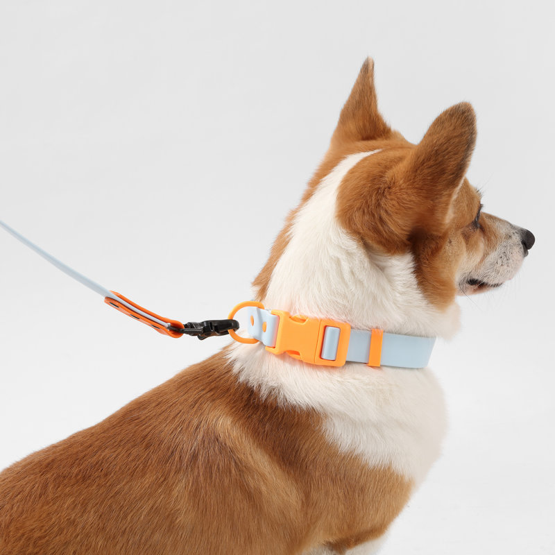 Laisse ajustable mains libres et collier 6-en-1 avec lampe DEL Luna 8 pi, Bleu clair / orange