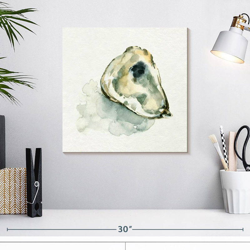 Aletra Old Salt Shell II
