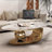 51" Luxurious Oval Coffee Table with Gold Base and Sintered Stone Top