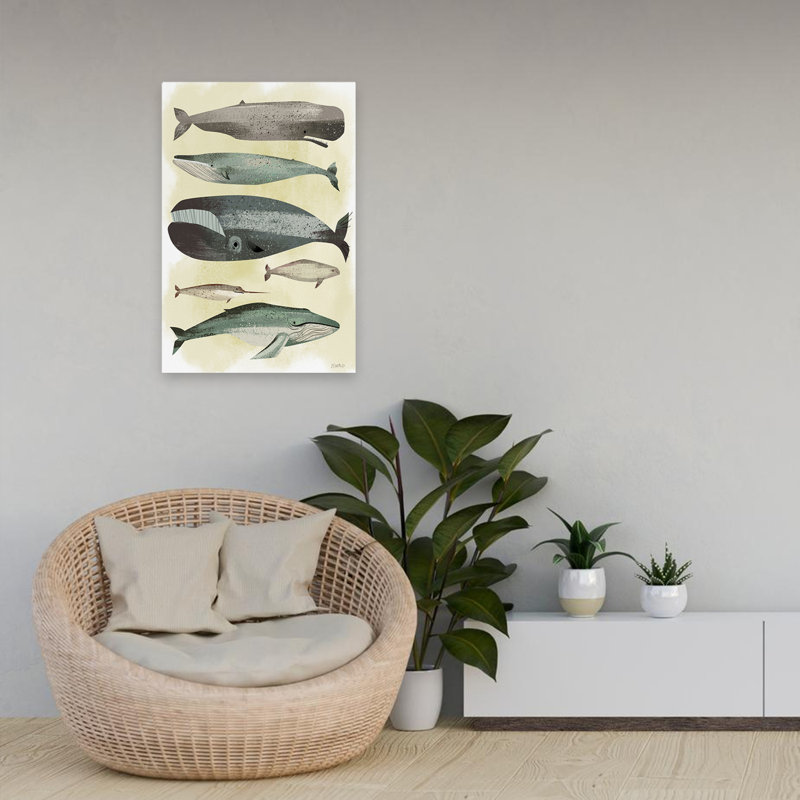Whales - Animals Illustration Whales Art, 24" H x 16" W