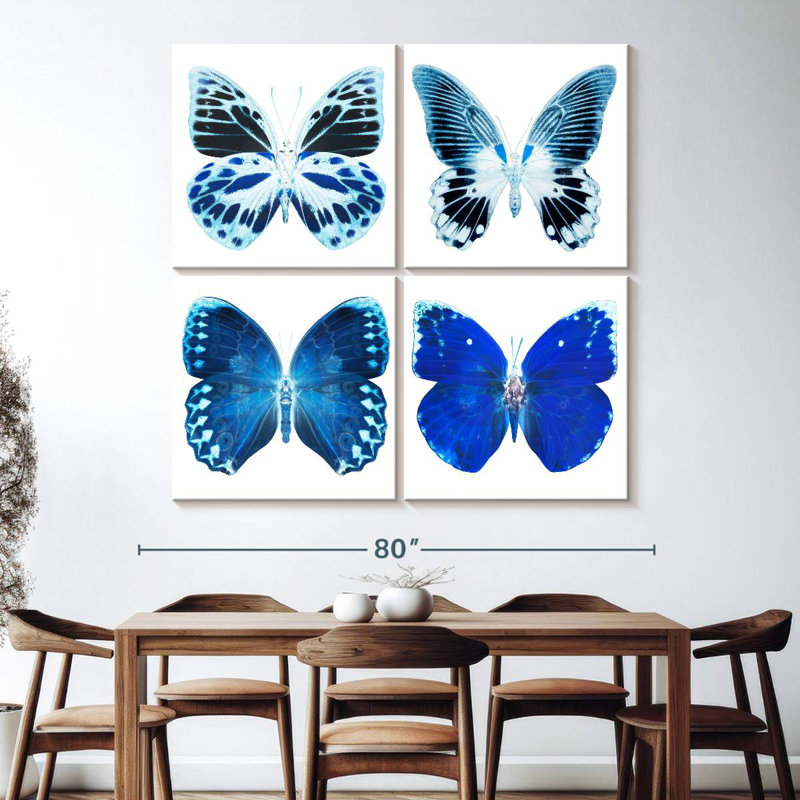 Radiographie de Brampt Miss Butterfly - bleu
