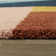 Satter Geometric Indoor Rug