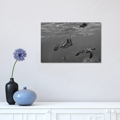 «Green Sea Turtle paire, Apo Island» par Tim Fitzharris - reproduction de photo