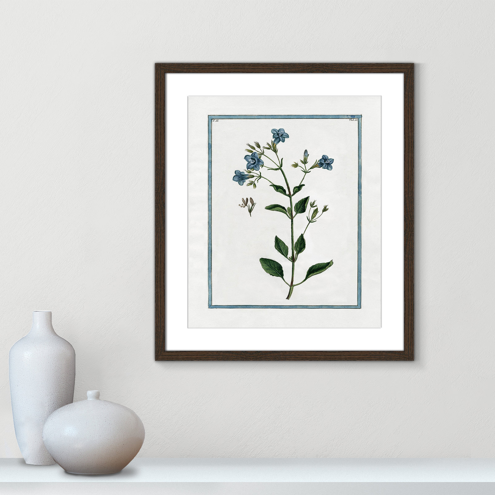 Colombe "Shabby Elegance Botanical II" Print, 16" W x 19" H, Walnut Framed