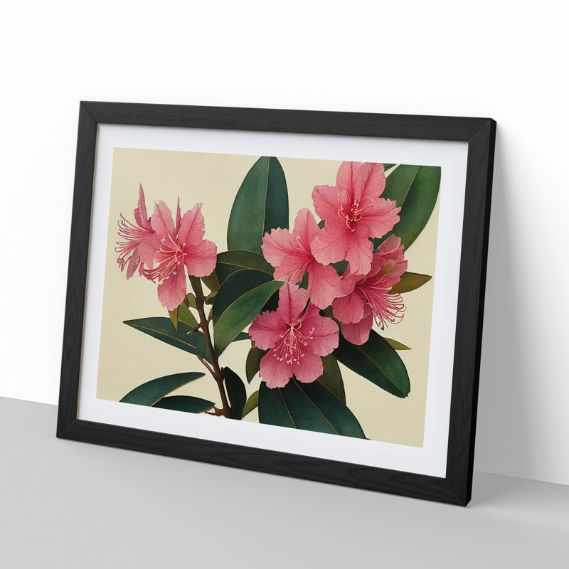 Rhododendron Flowers Vol.1 - Single Picture Frame Print, Black Framed, 46cm H x 64cm W x 2cm D