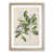 Oak Framed selected