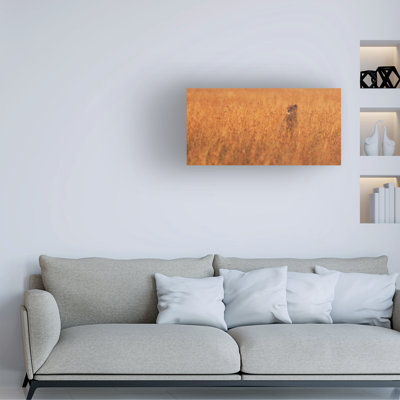 Bolog Mohammed Alnaser Golden Boy Canvas Art
