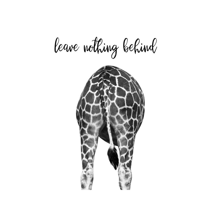 Giraffe Bum by Danita Delimont - Wrapped Canvas Gallery-Wrapped Canvas Giclée, 20.32 cm H x 30.48 cm W