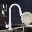 Belfry Kitchen Burna Kitchen Faucet