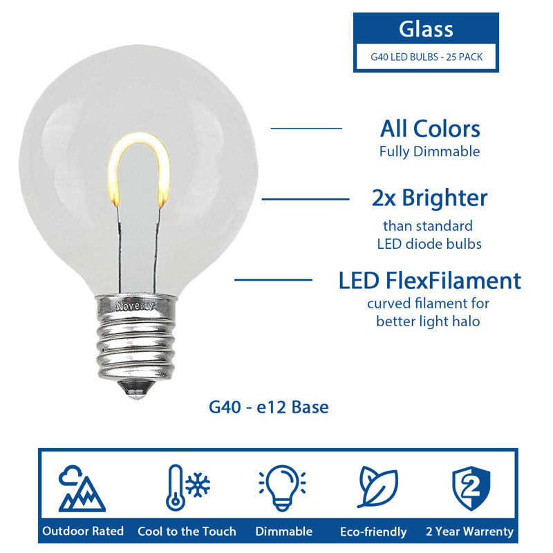 Lymann Outdoor 25 - Bulb 2.25'' Plug-in LED Globe String Light, Multicolor