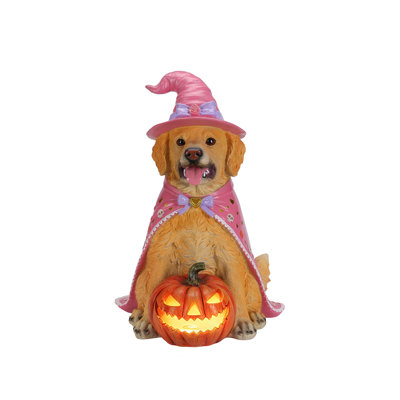 Statue lumineuse Alfani en forme de citrouille pour l'Halloween, décoration pour animaux de compagnie sorcière en résine avec piles, 4 styles