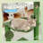 Cactus Hammock Cat Tree Scratcher