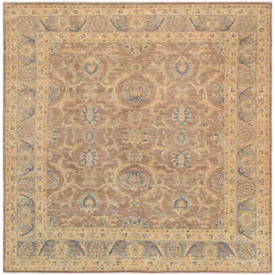 Robben Oriental Area Rug in Brown