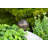 7.9'' Solar Powered Outdoor Hanging Light-92541070