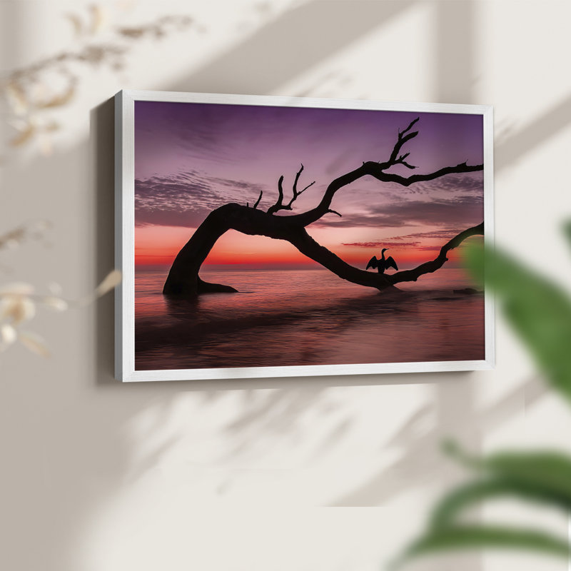 Photographie, étude de coucher de soleil, plage, reproduction encadrée, H 16 po x l 20 po, Blanc