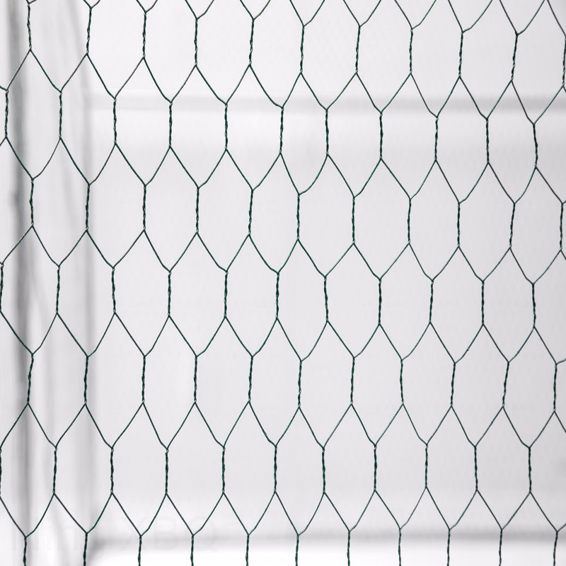 Grand poulailler en métal pour l'extérieur, H 78,74 po x l 314,96 po x P 118,11 po