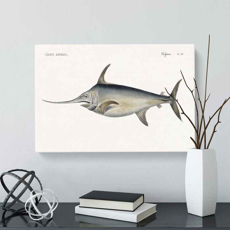 Blue Marlin by Georges Cuvier - Wrapped Canvas, 50 cm H x 76 cm W