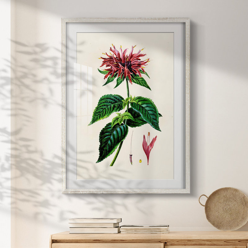Horizon Break II - Toile tendue avec châssis, H 28,5 po x l 20,5 po, Blanc