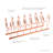 Kanhiya Kitchenware Divider-1118144448