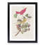 Summer Red Birds by John Audubon - Picture Frame Painting Print-55614358-55614362