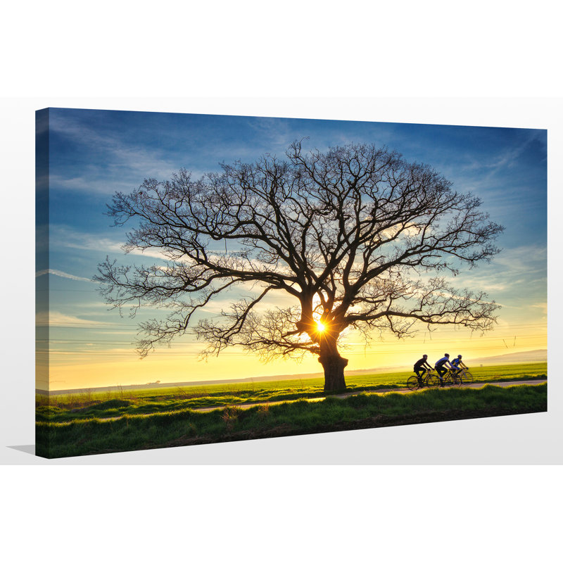 «Lonely Tree in a Field 2», reproduction de photo sur toile tendue, H 18 po x l 30 po x P 1 po