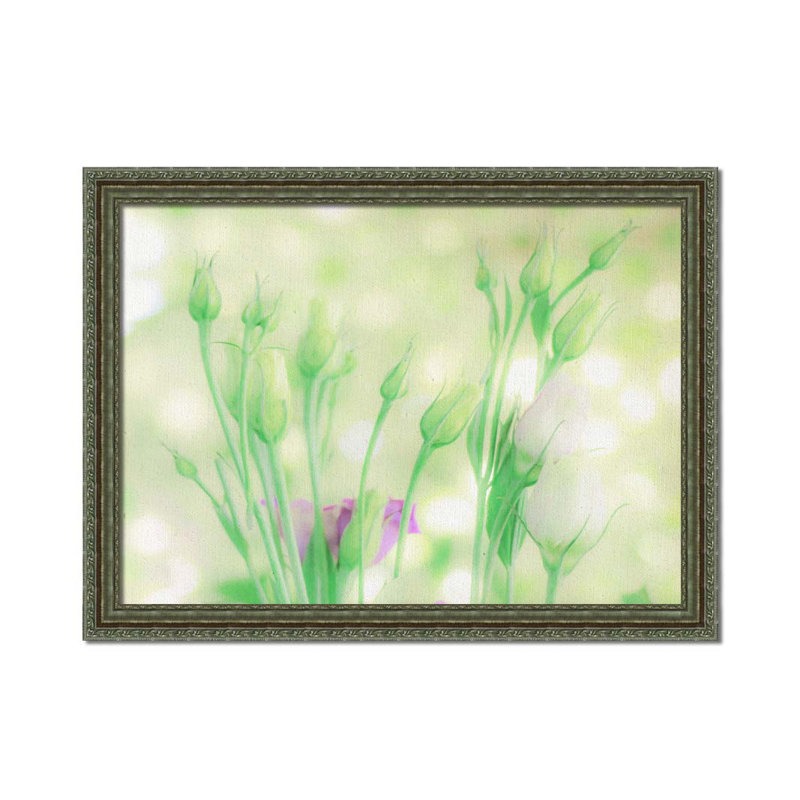 Soft Summer Focus par Hal Halli. Impression sur papier - Montée et encadrée, H 34 po x l 44 po