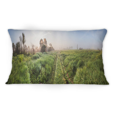 Coussin Rustic Landscape Pathway In The Fields