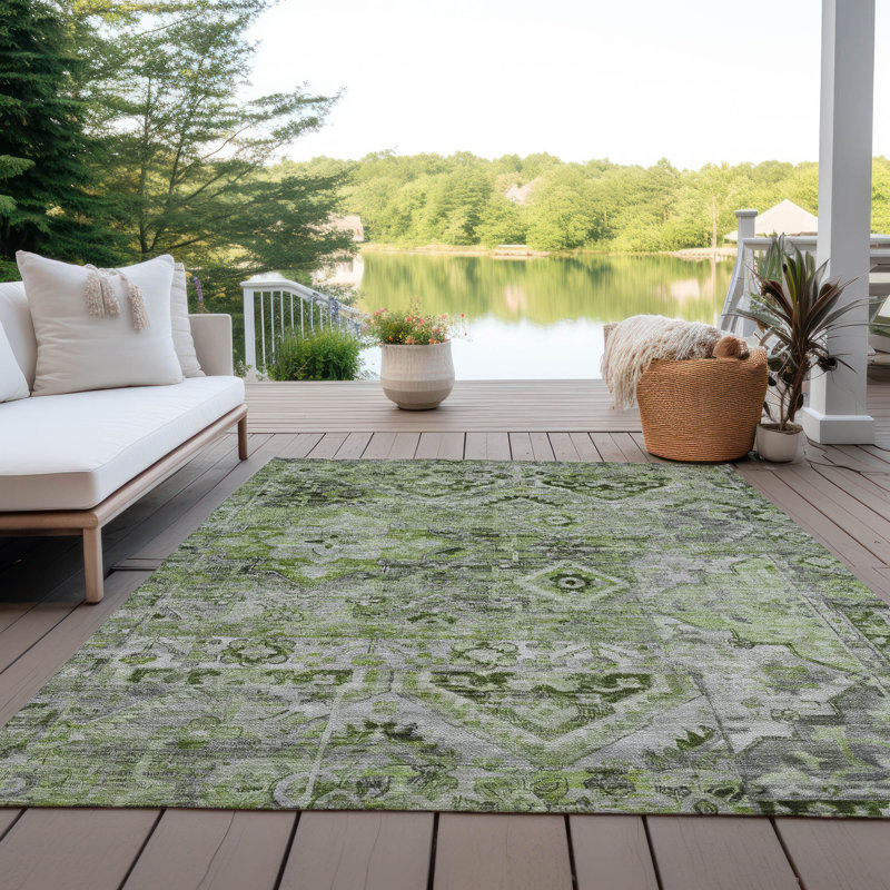 Machine Washable Indoor/Outdoor Cinead ACN1664 Aloe Rug, Rectangle 3' x 5'
