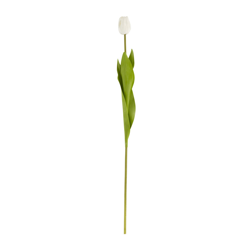 Ensemble de 12 tulipes tiges florales, Blanc